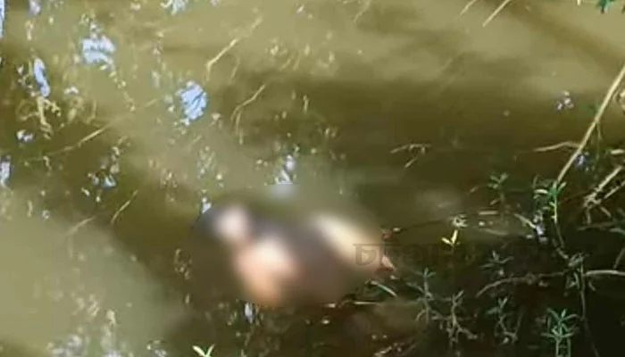 কর্ণফুলীতে নিখোঁজ কিশোরের লাশ মিললো পুকুরে